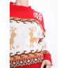 Pull de noël