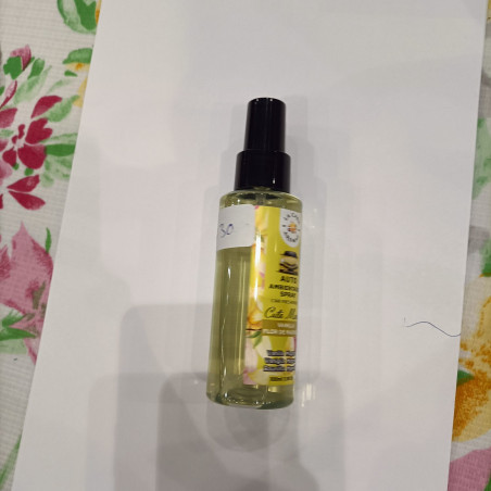 Spray voiture la casa roma