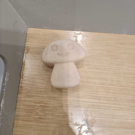 fondant champignon