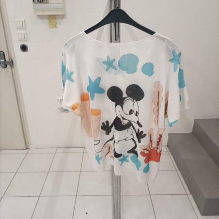 pull fin mickey