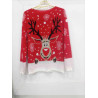 Pull de noel